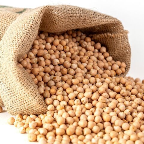 Good quality Chickpeas for food industry and cooking manufacturer prices hot sale in bulk grains and beans