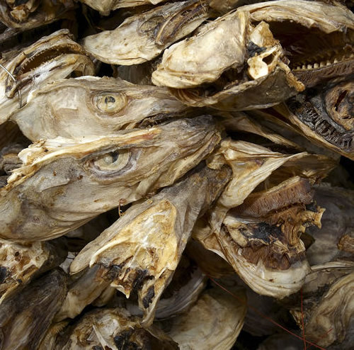 Best Dry Stock Fish / Dry Stock Fish Head / dried salted cod Dry Stockfish, Herring Fish ready for export