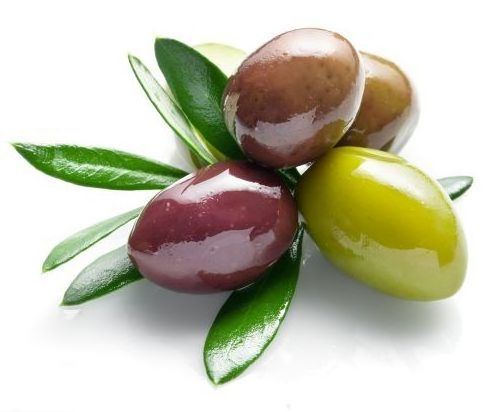 Hot Selling Price Of Canned Olives / Whole Black and green Olives In Bulk Quantity