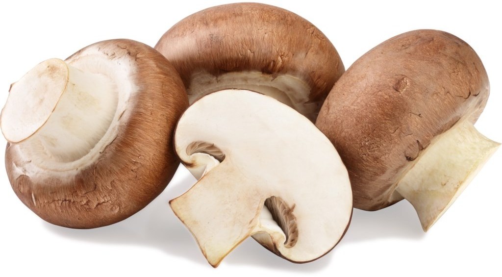 Best Price IQF Frozen Fresh White Beech Button Champignon Mushroom Sliced