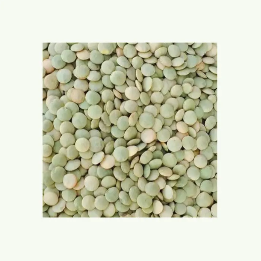 Green lentils at wholesale price Red Lentils, Green Lentils, Brown Lentils Cheap Price