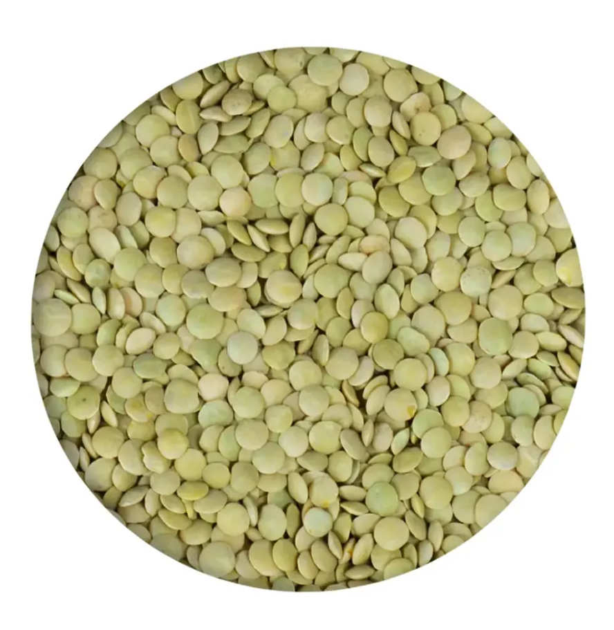 Green lentils at wholesale price Red Lentils, Green Lentils, Brown Lentils Cheap Price