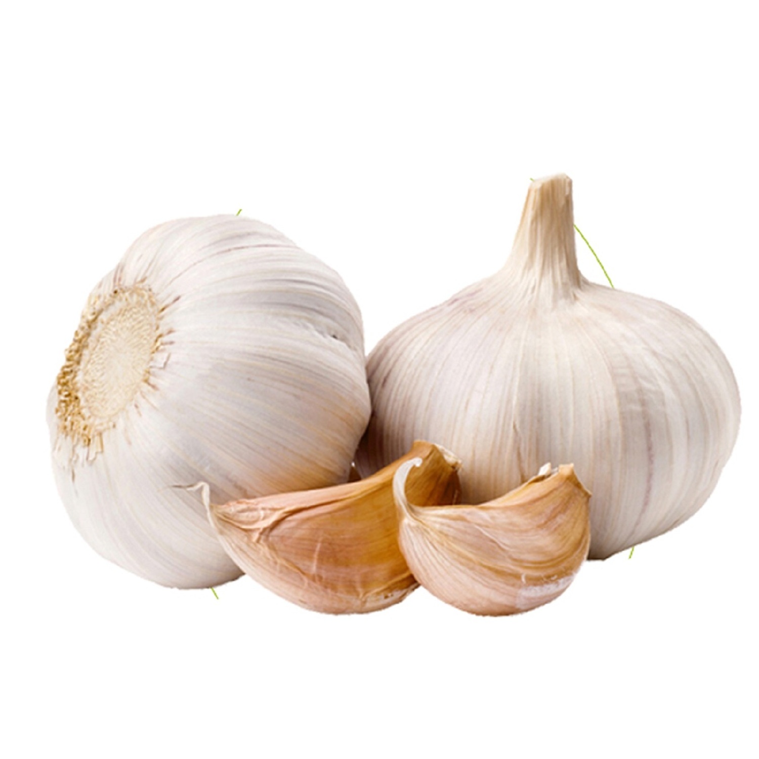 Austria standard Organic Fresh Garlic For Sale / New fresh garlic supplier / Normal white garlic Wholesale Price