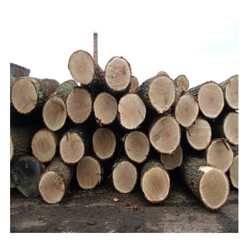 Teak wood round logs