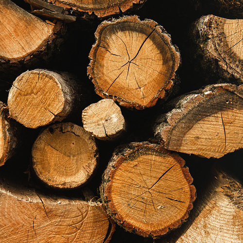 Top Quality Timber Logs Teak timber Wood Ipe Logs etc/ Oak Wood Logs / Teak Wood - Round Logs, Sawn Timber Logs