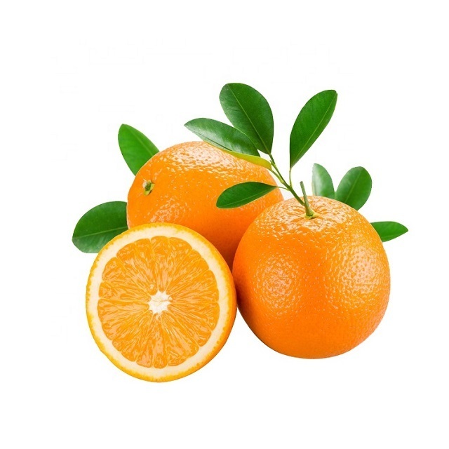 Best grade Quality Fresh Navel Oranges Fresh oranges Valencia and Navel Fresh Orange for export Austria