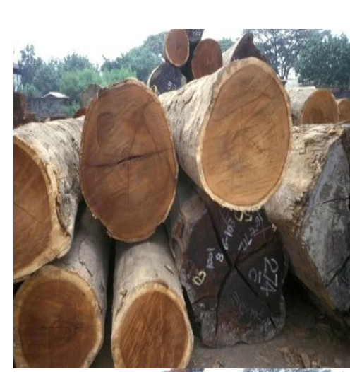 Teak wood round logs