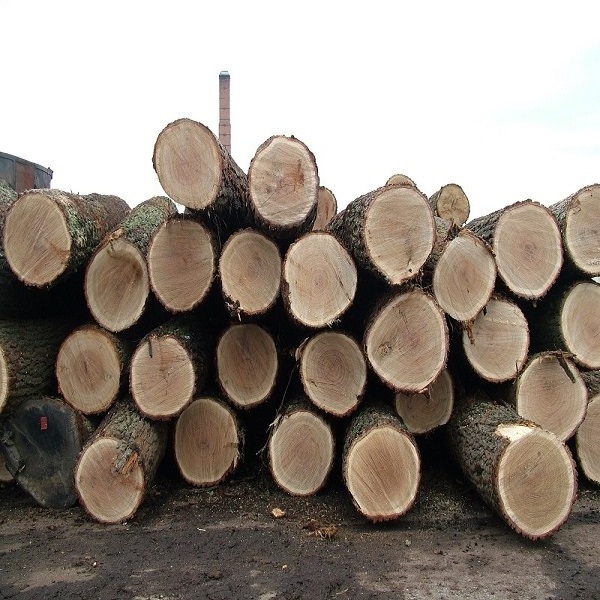 Top Quality Timber Logs Teak timber Wood Ipe Logs etc/ Oak Wood Logs / Teak Wood - Round Logs, Sawn Timber Logs