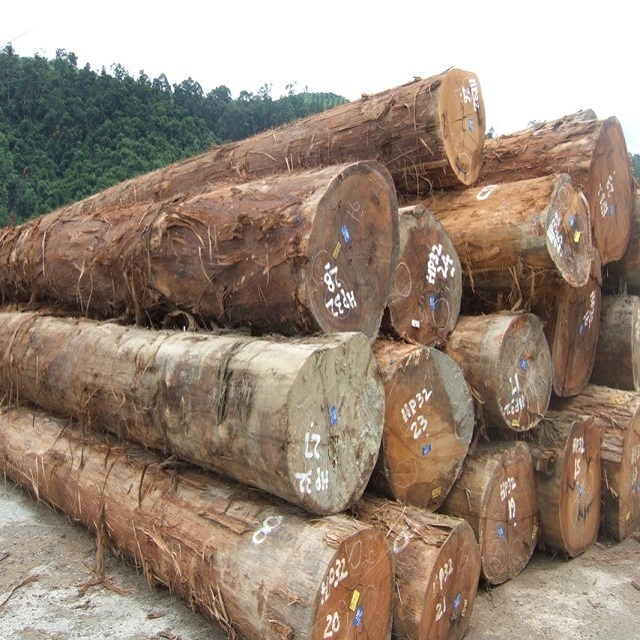 Top Quality Timber Logs Teak timber Wood Ipe Logs etc/ Oak Wood Logs / Teak Wood - Round Logs, Sawn Timber Logs