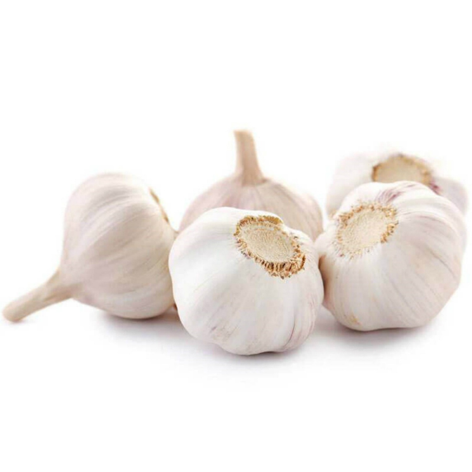 Austria standard Organic Fresh Garlic For Sale / New fresh garlic supplier / Normal white garlic Wholesale Price