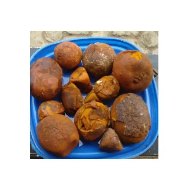 Hot Sale Ox/Cow Bladder Gallstones 100% Whole Stones AVAILABLE Buy Cow Gall Stones Ox Gallstones at good price