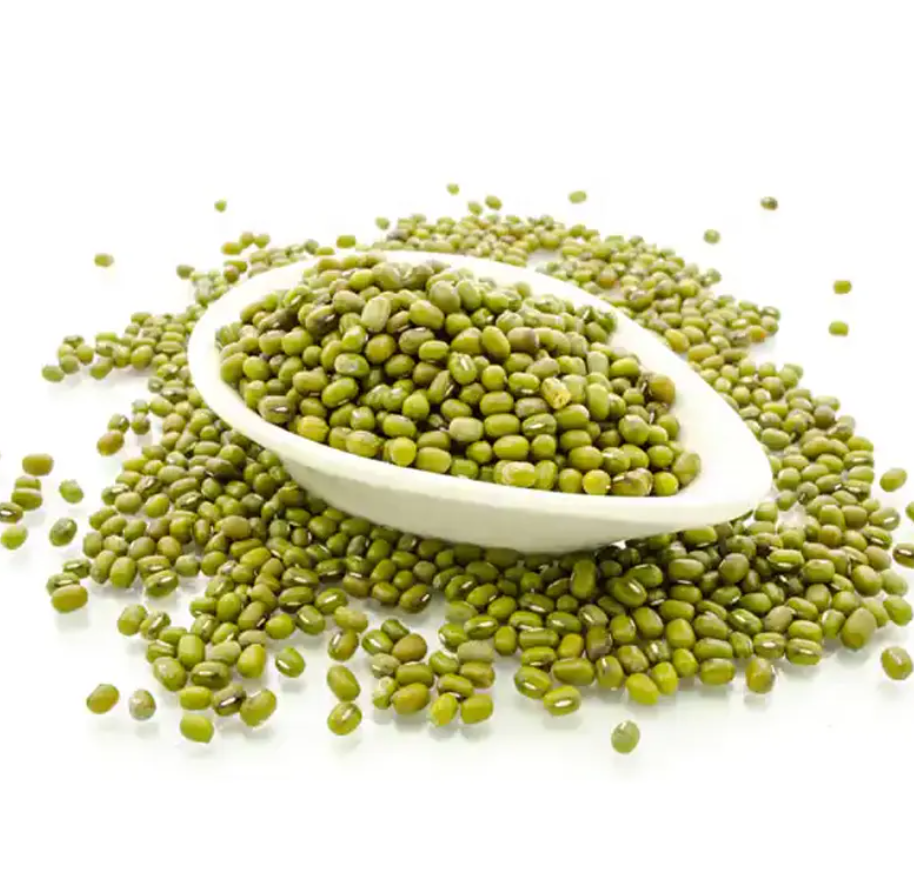 Hot sale Green Mung Beans High Quality Organic Green Natural Mung Beans for sale