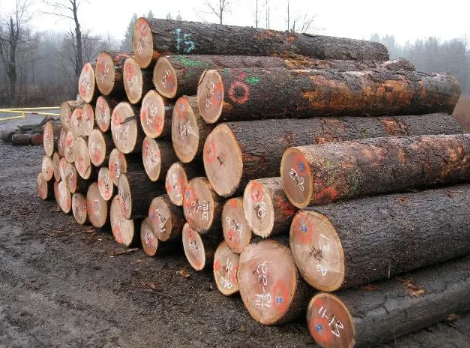 Timber Wood Logs