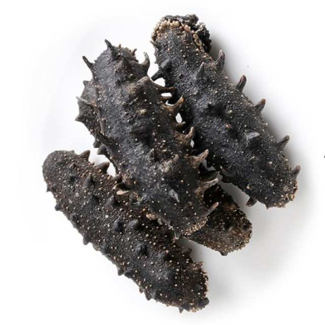 Hot selling dried sea cucumber / Top Quality Wholesale Dried Sea Cucumbers / Sun Dried Sea Cucumber Cheap price