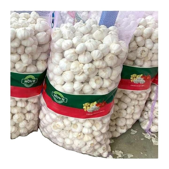 Austria standard Organic Fresh Garlic For Sale / New fresh garlic supplier / Normal white garlic Wholesale Price