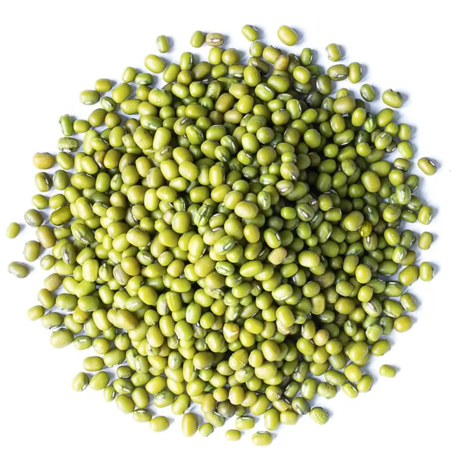 Hot sale Green Mung Beans High Quality Organic Green Natural Mung Beans for sale