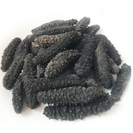 Hot selling dried sea cucumber / Top Quality Wholesale Dried Sea Cucumbers / Sun Dried Sea Cucumber Cheap price