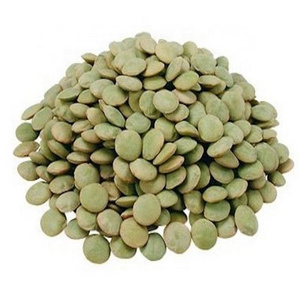 Green lentils at wholesale price Red Lentils, Green Lentils, Brown Lentils Cheap Price