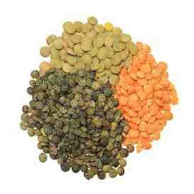 Green lentils at wholesale price Red Lentils, Green Lentils, Brown Lentils Cheap Price