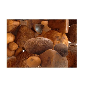 Hot Sale Ox/Cow Bladder Gallstones 100% Whole Stones AVAILABLE Buy Cow Gall Stones Ox Gallstones at good price