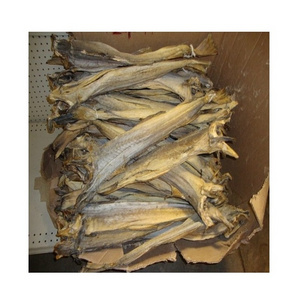 Wholesale Cod and Dried Stock Fish Sizes/ Norway Dried StockFish in cuts pieces in 30-45 kg bales