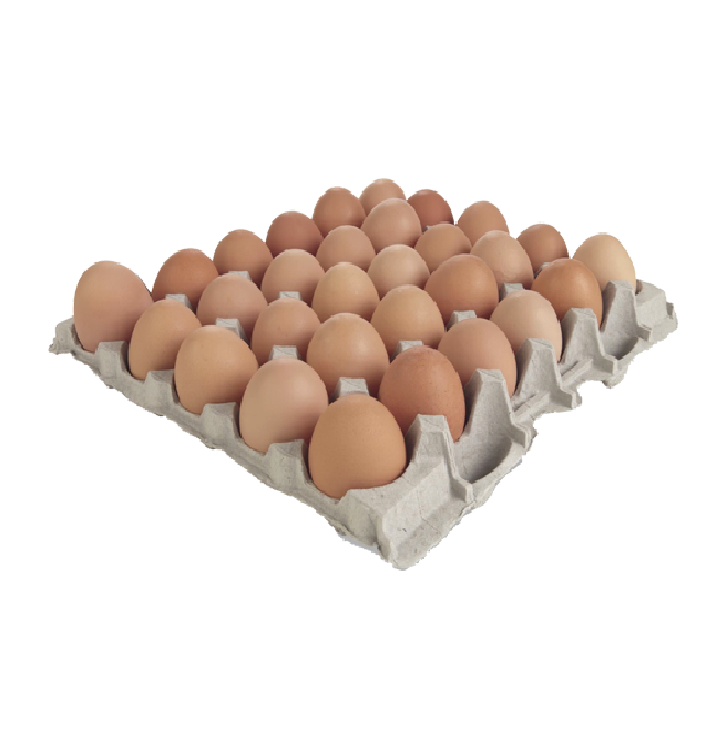 White and Brown Chicken Eggs / Fresh Chicken Table Eggs - Fertilized Hatching Chicken Eggs Cheap price