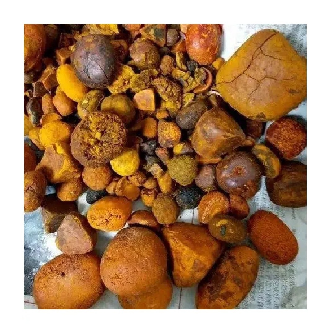 Hot Sale Ox/Cow Bladder Gallstones 100% Whole Stones AVAILABLE Buy Cow Gall Stones Ox Gallstones at good price