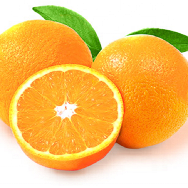 Best grade Quality Fresh Navel Oranges Fresh oranges Valencia and Navel Fresh Orange for export Austria