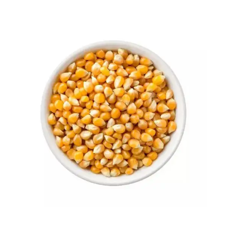 100% Best Quality 1 Yellow Corn & White Corn/Maize for Human & Animal Feed Available For Sale