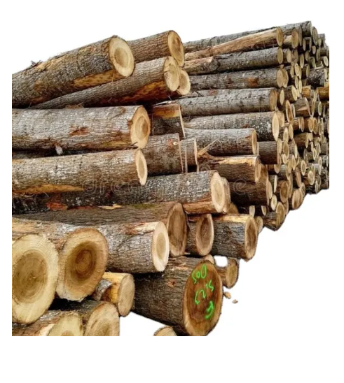 Eucalyptus Wood Logs Birch Wood Logs