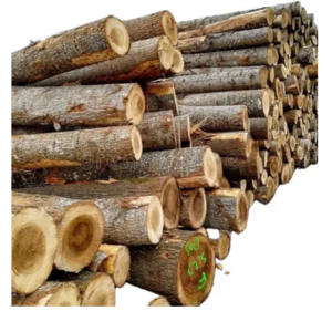 Eucalyptus Wood Logs Birch Wood Logs