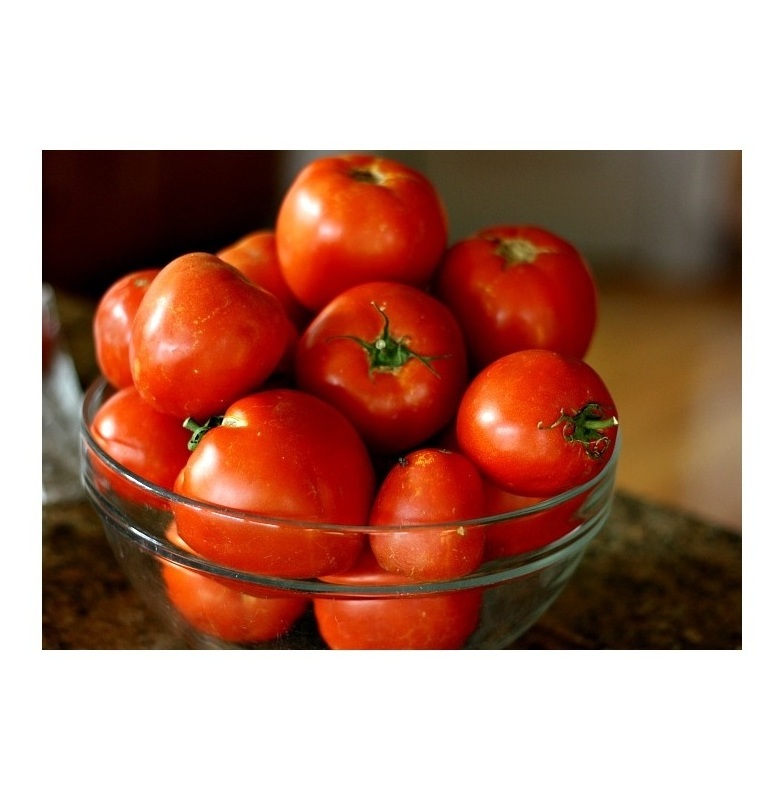 Cheapest Price Supplier Bulk Fresh Vegetables Tomatoes With Fast Delivery