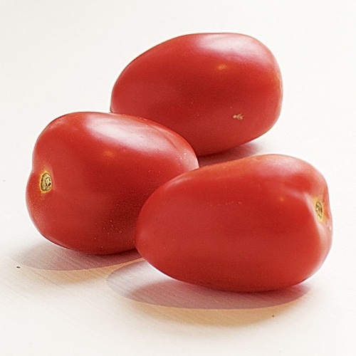 Cheap Price Natural Fresh Tomatoes in Stock Wholesale Exporter Of Fresh Vegetable