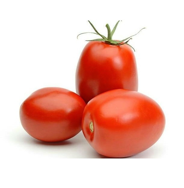 Cheap Price Natural Fresh Tomatoes in Stock Wholesale Exporter Of Fresh Vegetable