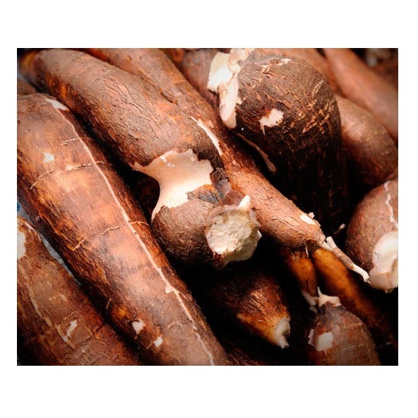 Kiln Dried Beech firewood00% Pure Natural Quality Fresh Vegetables Cassava At Best Wholesale Pricing