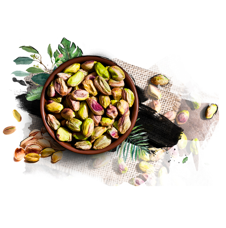 Pistachio Nut Raw With Shell Pistachios Nuts Roasted And Salted Bulk  Cheap Price Pistachio Nuts