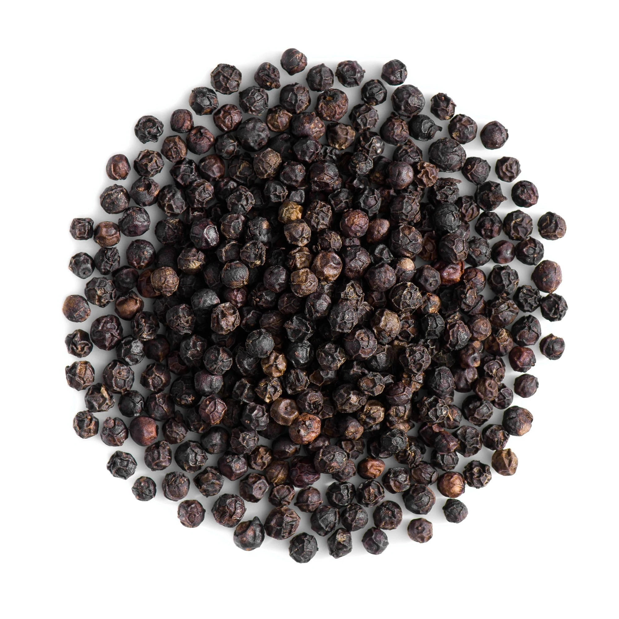 Premium Quality Organic Black Pepper from Vietnam Factory Single Herbs & Spices at Low Wholesale Price