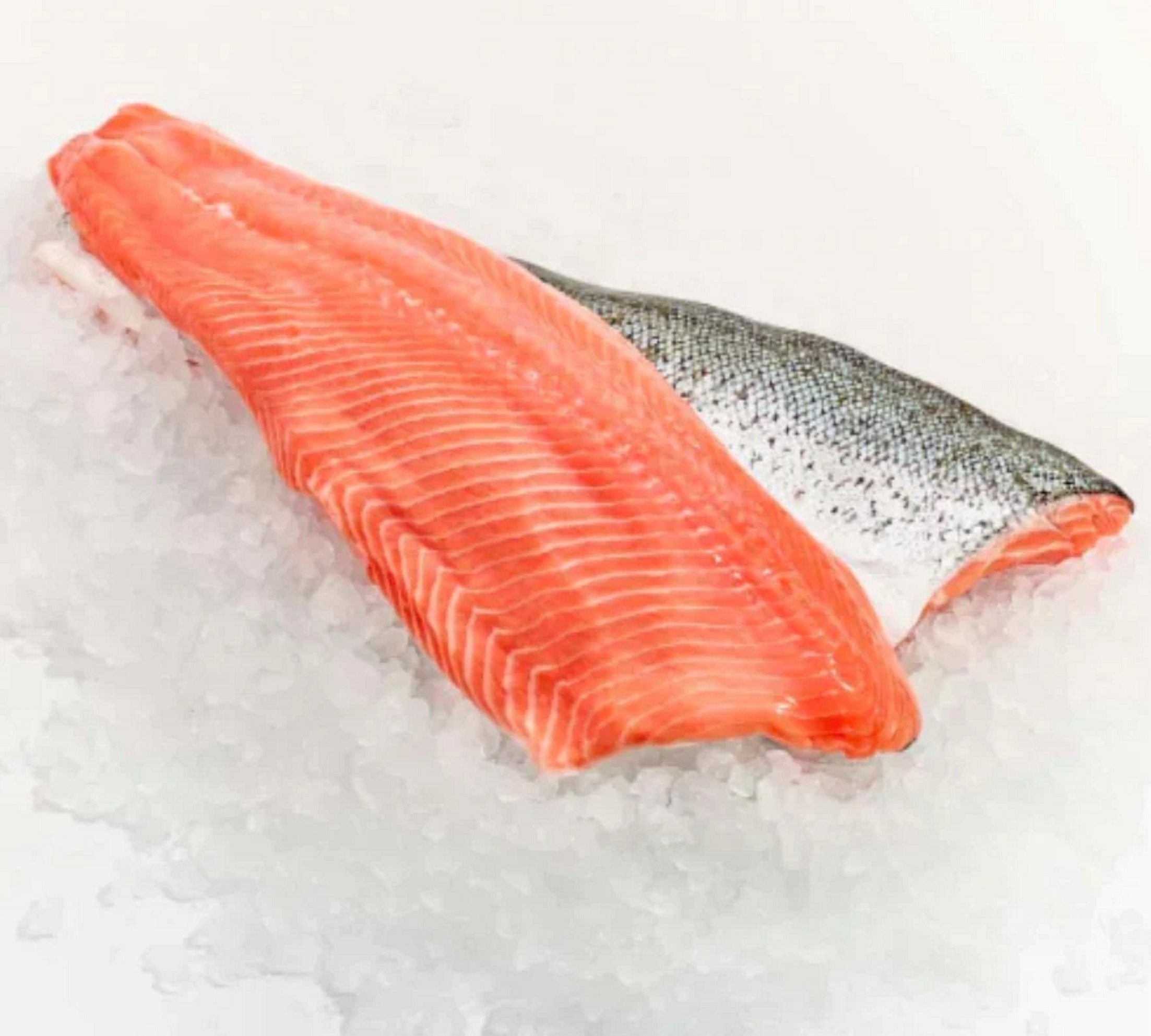 High Quality Fresh Frozen Salmon Fillets Well Cleaned at Cheap Wholesale Price