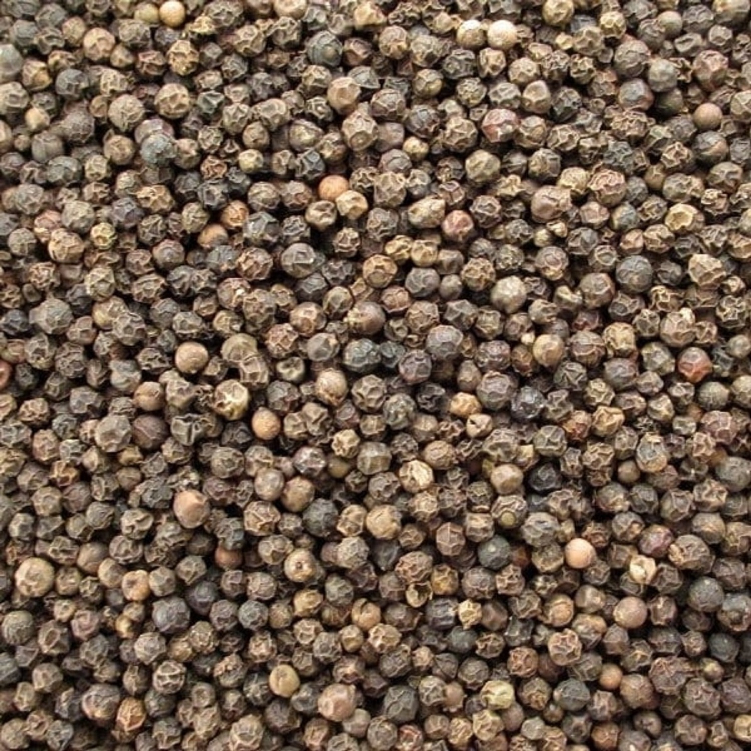 Premium Quality Organic Black Pepper from Vietnam Factory Single Herbs & Spices at Low Wholesale Price