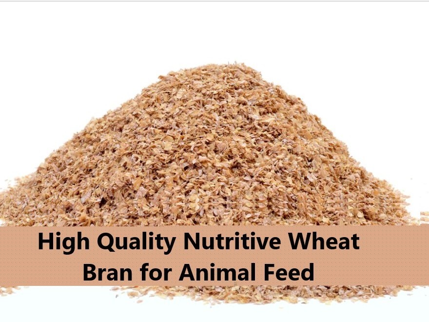 High Nutritive Wheat Bran for Animal Feed / Wheat Bran Pellets for Low Wholesale Price