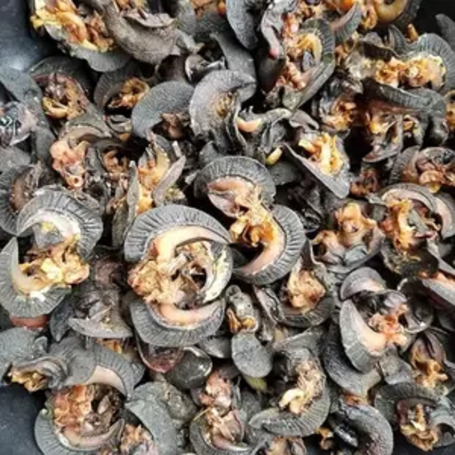 Fresh Frozen Snail Meat Dried African Land Snails Meat for Sale