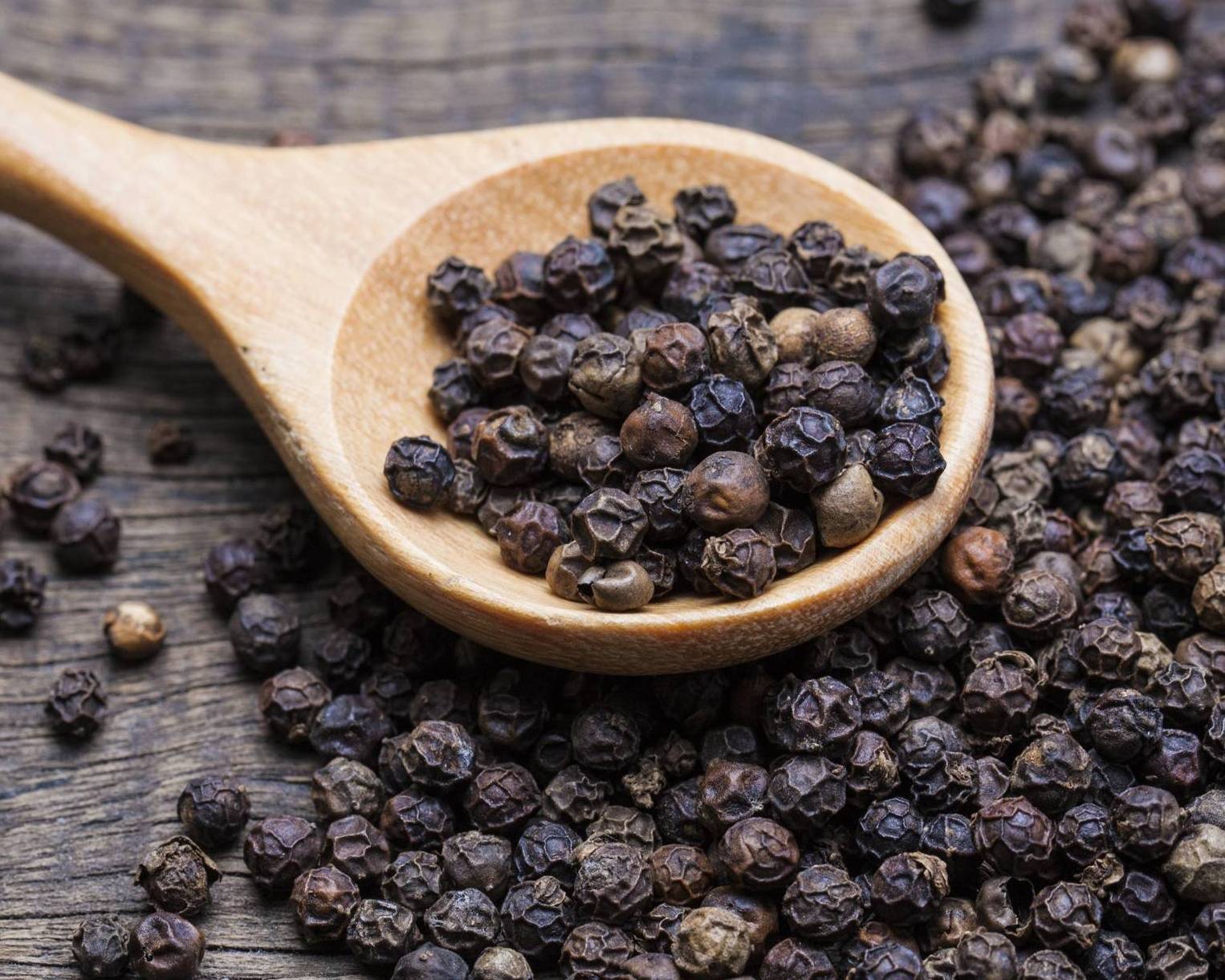 Premium Quality Organic Black Pepper from Vietnam Factory Single Herbs & Spices at Low Wholesale Price