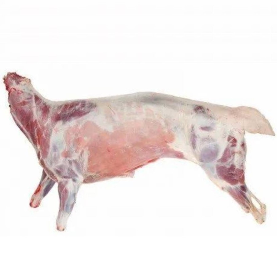 Fresh Frozen Goat Meat Halal/Kosher Grade Mutton/Lamb Meat at Wholesale Price