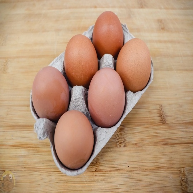 Cheap Eating Eggs in bulk Sales | Fertile Chicken Eggs for sale