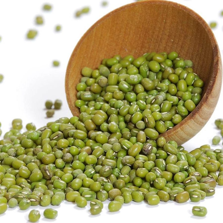 Bulk Premium Quality Green Mung Beans for ready market