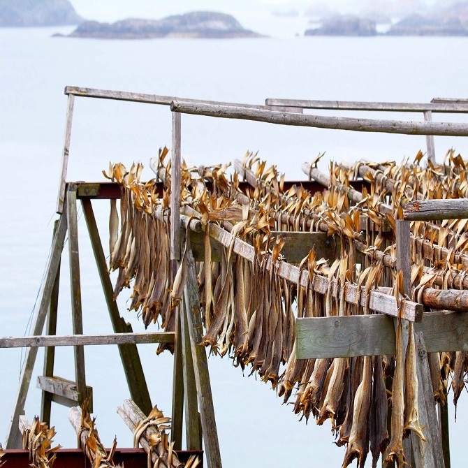 Stockfish of Cod (10kg). Stockfish of Cod (10kg)|Norwegian Stockfish Whole or Cut 10lbs