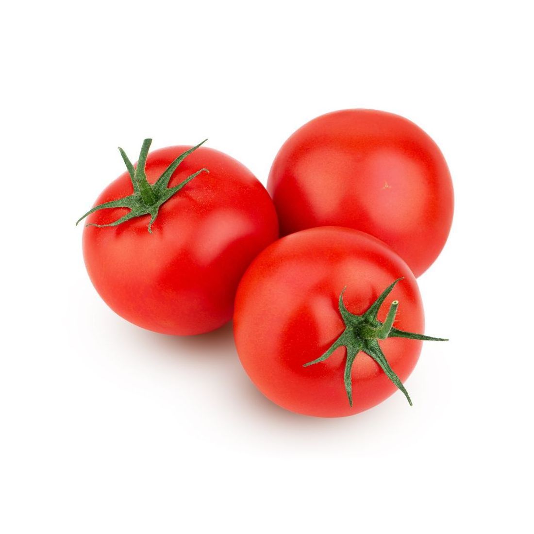 Organic Fresh Tomato at competitive price