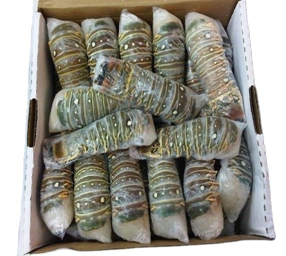 whole sale Fresh Quality red Lobster/live maine lobster/Frozen red Lobster 500 tons