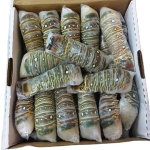 whole sale Fresh Quality red Lobster/live maine lobster/Frozen red Lobster 500 tons