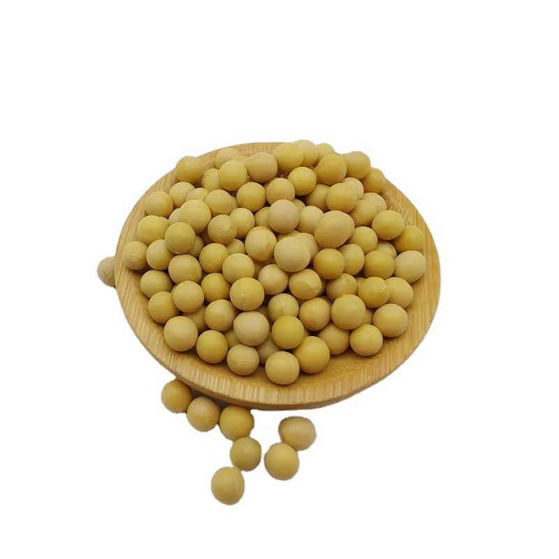 Food Grade High Quality Non Gmo Yellow Soybeans Non Gmo Dried Soy Beans , Organic SoyBeans exporters